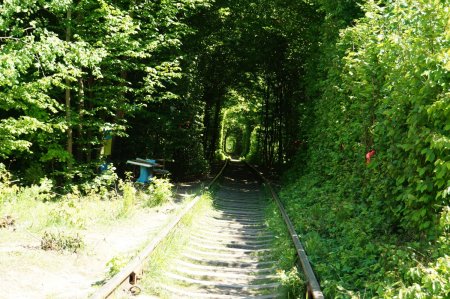 Обмін  досвідом керівників дошкільної освіти